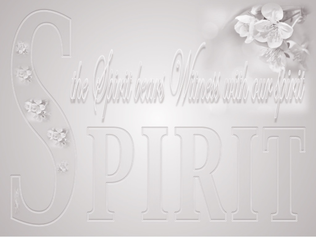 Romans 8:16 The Spirit Bears Witness (white)